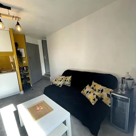 Le Cocon De La Basilique Apartment *